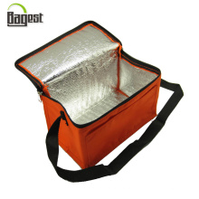 Ice/Warm Insulated 6/12 Can Bottle Printed Cooler Bag for Lunch Picnic Thermal Cooling